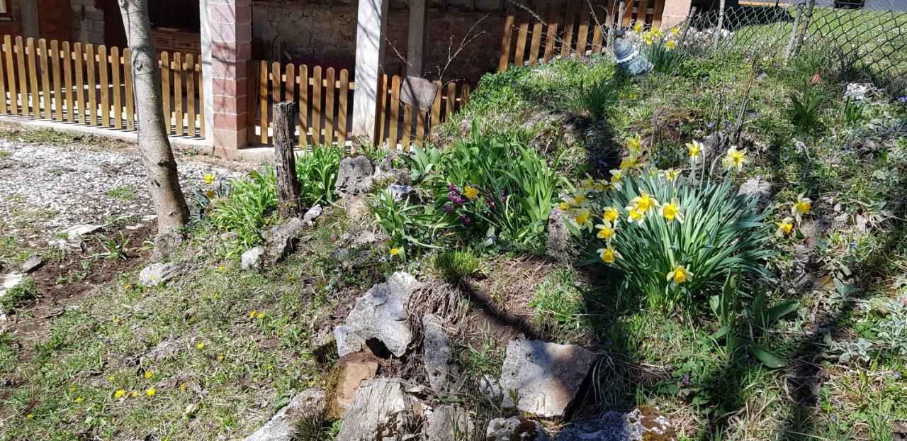 Mirni Kutak Villa Donje Pazariste Exterior foto