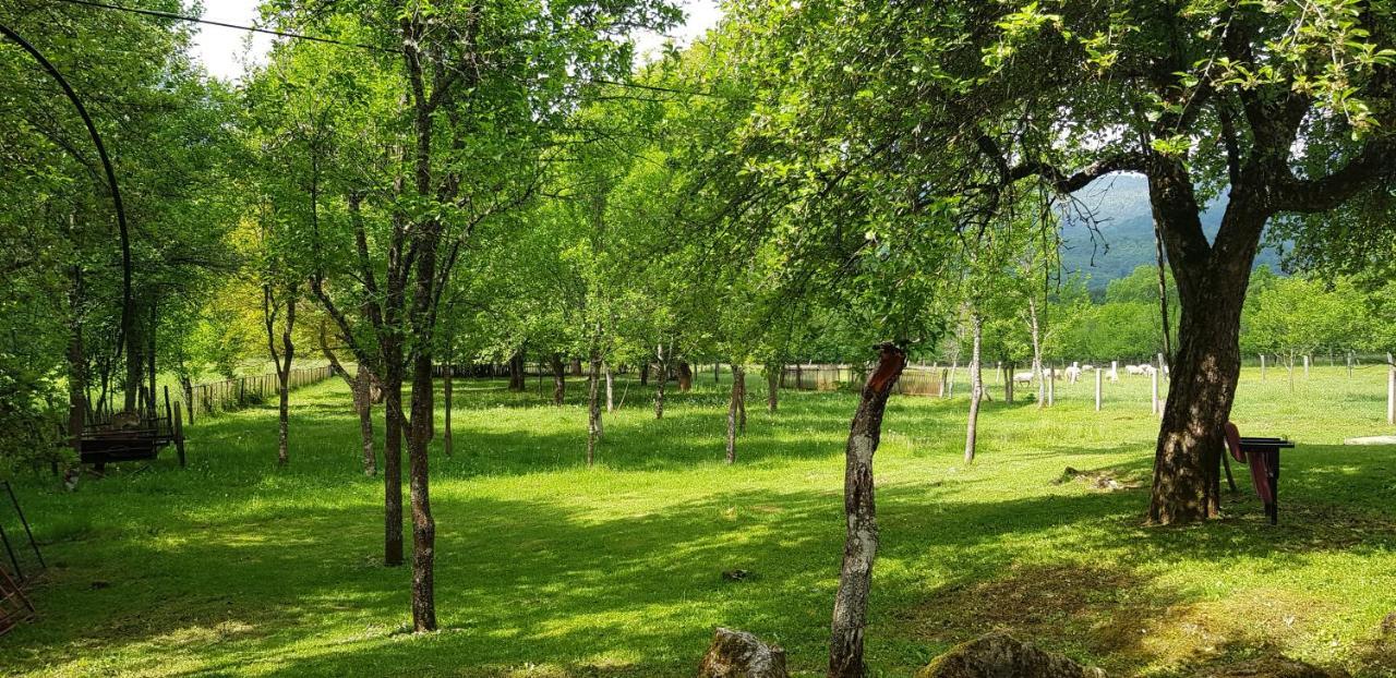 Mirni Kutak Villa Donje Pazariste Exterior foto